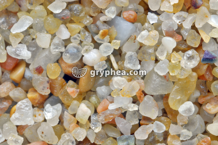 Sable quartzeux - Plage de Bretignolles (Vendée) x3 - gryphea.org